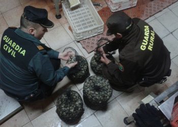 Interceptados cuatro furtivos con 80 kilos de almejas