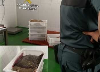 Decomisada una partida de pescado en Aldán por irregularidades en el transporte
