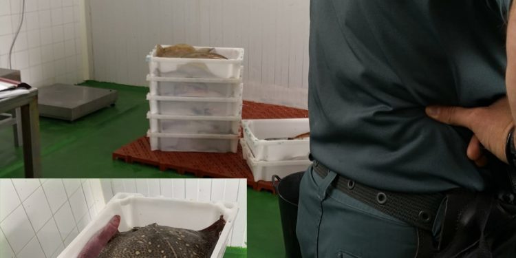 Decomisada una partida de pescado en Aldán por irregularidades en el transporte