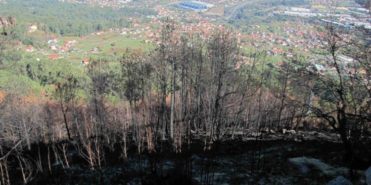 A Xunta anuncia que dará 1 millón para 41 concellos afectados polos incendios