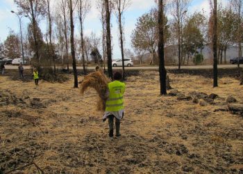 Concello e comuneiros cooperarán no Anel Verde de Vigo, que arrancará este ano