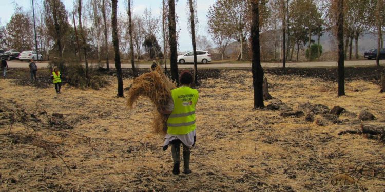 Concello e comuneiros cooperarán no Anel Verde de Vigo, que arrancará este ano