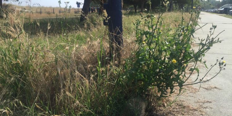 El PP denuncia el «estado de deterioro» del entorno de Samil y O Vao