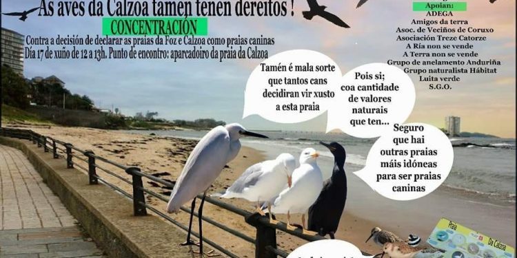 Manifestación contra perros en Calzoa y A Foz y a favor de aves y nutrias