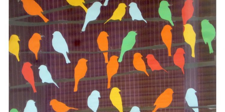 El color de los pájaros