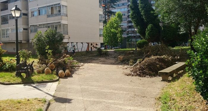 El alcalde de Vigo declara la guerra a muerte al chopo