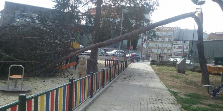 Cae un árbol en un parque infantil de Teis