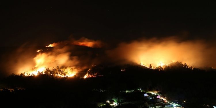 Una batería de medidas para mejorar el aprovechamiento del monte y luchar contra los incendios
