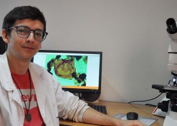 Un vigués destapa os segredos das plantas que convivían co primeiro dinosauro descrito en España
