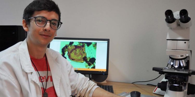 Un vigués destapa os segredos das plantas que convivían co primeiro dinosauro descrito en España