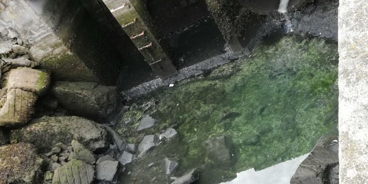 O BNG reclama a Europa que revise e reabra o informe sobre o saneamento da ría