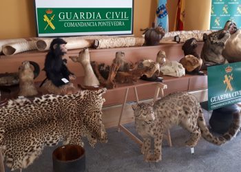 El increíble almacén clandestino que escondía un vecino de Salvaterra