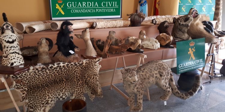 El increíble almacén clandestino que escondía un vecino de Salvaterra