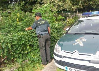 La Guardia Civil se incauta de varias plantas de marihuana en Gondomar