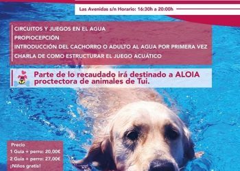 Una tarde para aprender a jugar en el agua con tu perro