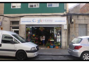 Gogle Home