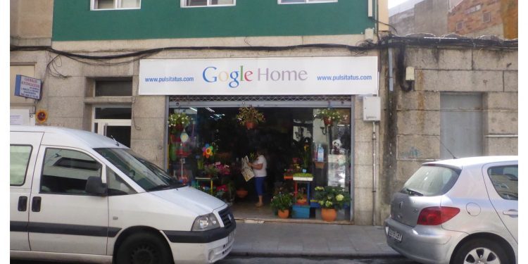 Gogle Home
