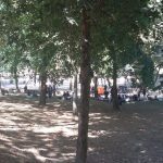 WhatsApp Image 2018-08-10 at 12