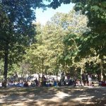 WhatsApp Image 2018-08-10 at 12