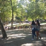 WhatsApp Image 2018-08-10 at 12