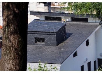 Para ahuyentar las gaviotas