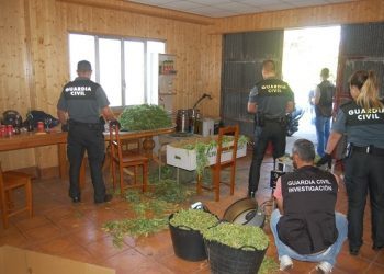 La Guardia Civil sorprende infraganti a cinco personas con una plantación de marihuana en Caldas