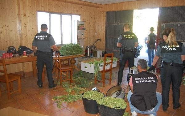 La Guardia Civil sorprende infraganti a cinco personas con una plantación de marihuana en Caldas