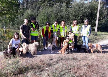 O ‘Camiño a Camiño’ de outono programa rutas vitivinícolas, cursos e voluntariado