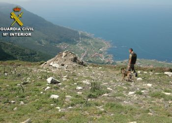 La Guardia Civil sorprende a dos cazadores con cebos envenenados en Oia