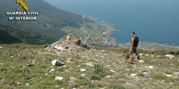 La Guardia Civil sorprende a dos cazadores con cebos envenenados en Oia