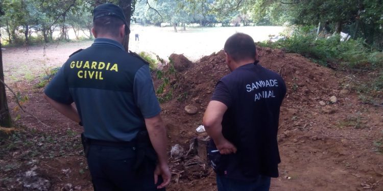 La Guardia Civil detiene a un vecino de Baiona por maltrato y abandono de animales