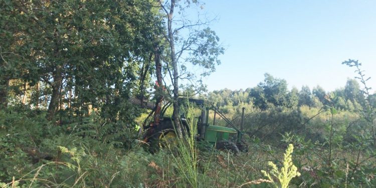Comerciantes de Vigo se unen a Tameiga contra el “pelotazo urbanístico” del Celta en Mos