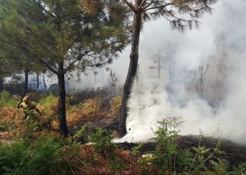 Tratan de sofocar un incendio a un kilómetro de casas en Baiona