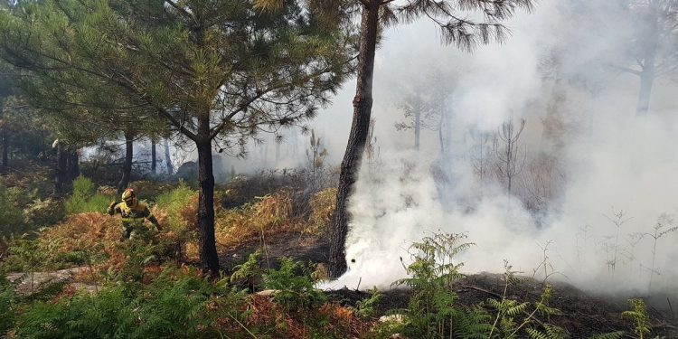 Tratan de sofocar un incendio a un kilómetro de casas en Baiona