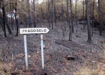 Actos lúdicos, artísticos e formativos para non esquecer os incendios de outubro do 2017