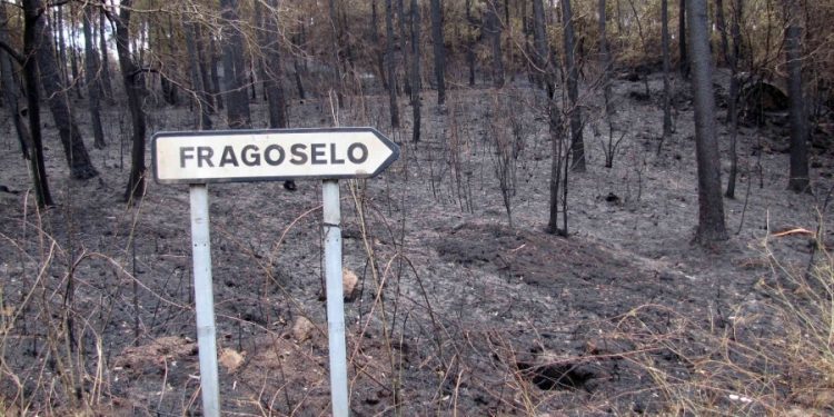 Actos lúdicos, artísticos e formativos para non esquecer os incendios de outubro do 2017