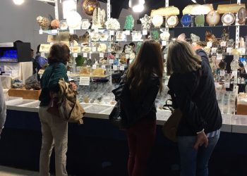 La mandíbula de megalodón y los fragmentos de Marte y la Luna, ya en Minervigo