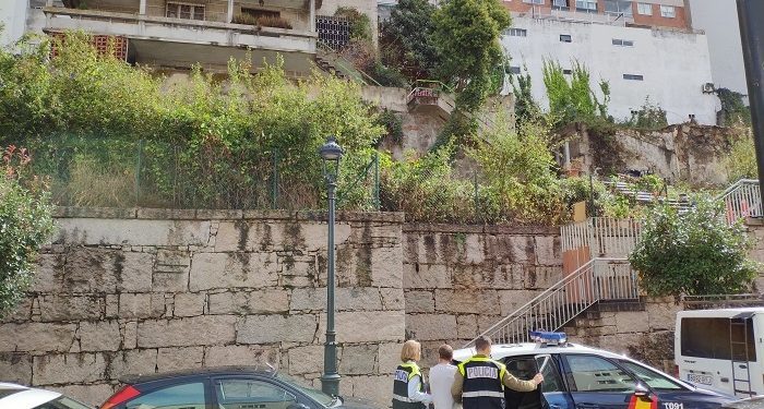 Descubren una plantación de marihuana en Vigo tras una alerta por una discusión de pareja