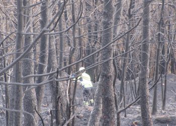 “Cuando se repitan las condiciones del pasado octubre, los incendios serán exactamente iguales”