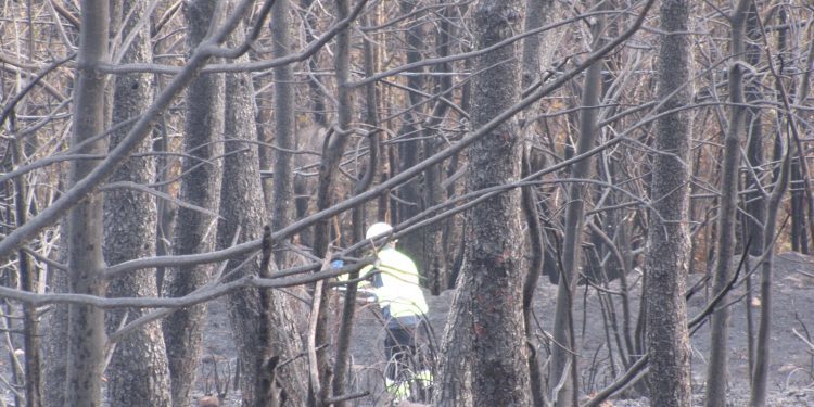 “Cuando se repitan las condiciones del pasado octubre, los incendios serán exactamente iguales”