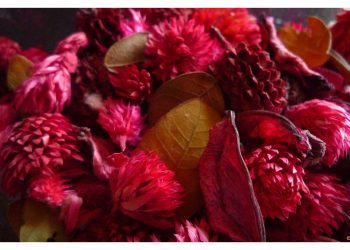 Incendios forestales