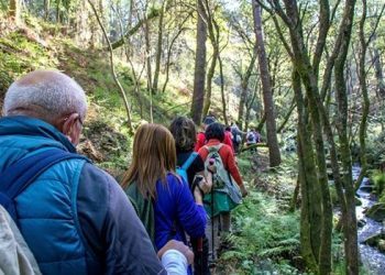 Camiño a Camiño inicia esta fin de semana a tempada de outono