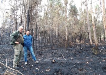 La extinción del incendio de Mondariz costó 100.000 euros y movilizó a 363 personas