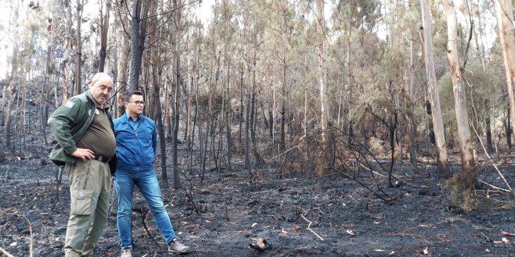 La extinción del incendio de Mondariz costó 100.000 euros y movilizó a 363 personas