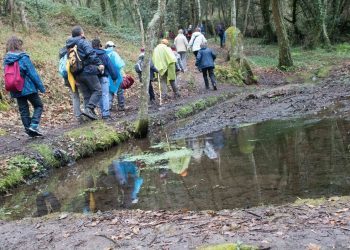 Unha andaina polos montes de Vigo un ano despois do desastre