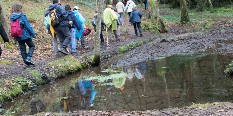 Unha andaina polos montes de Vigo un ano despois do desastre
