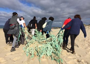 Adega Vigo súmase á Limpeza Simultánea de Praias actuando en Alcabre