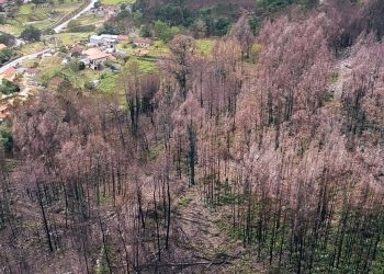 As Neves, zona cero do 15-O, conmemorará o primeiro aniversario plantando árbores