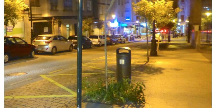 Árbol sin hojas