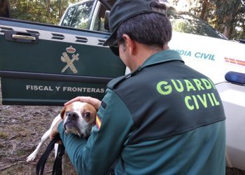 Investigan penalmente a un vecino de Gondomar por maltratar a su perra